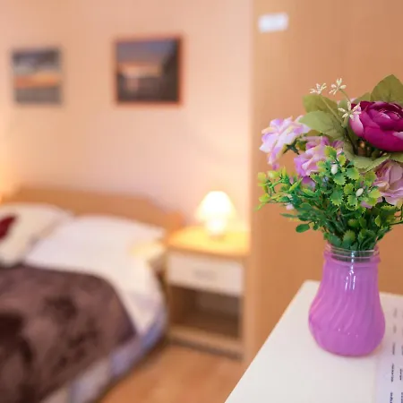 Guest house Biba