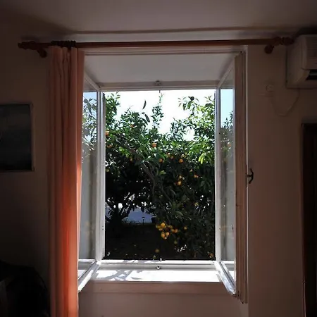 Casa de hóspedes Biba Dubrovnik